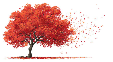 Fototapeta premium A vibrant red autumn tree with falling leaves