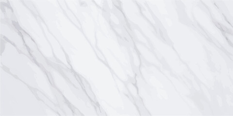 Obraz premium Abstract Gradient Background in Light Gray Hues Perfect for Modern Designs and Minimalist Projects