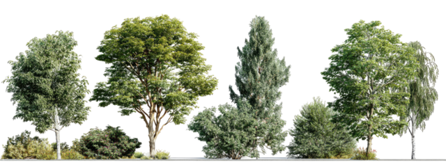 Row of various green trees