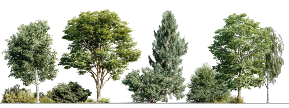 Row of various green trees