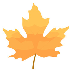 Obraz premium Maple leaf illustration maple maple leaf vector
