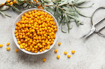 Sea buckthorn berries in bowl ready for harvest
