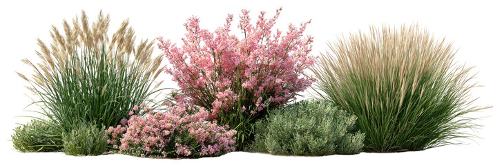 Colorful landscaping with grasses and flowering shrubs