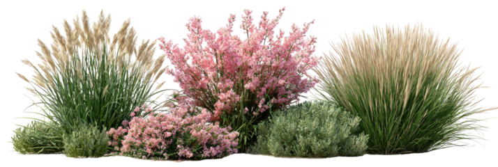 Colorful landscaping with grasses and flowering shrubs