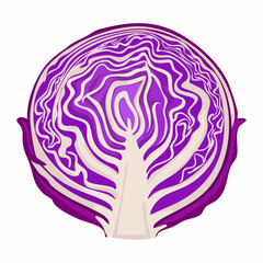Obraz premium Close up sliced or cut fresh purple or red cabbage in a half, top view flat lay to present surface and texture of cabbage use for background or wallpaper.