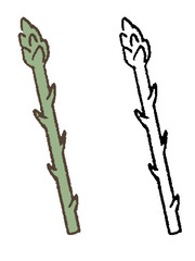 手描きのアスパラガス