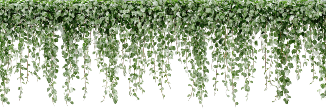 Dense, cascading greenery hangs in a  patterned display