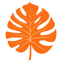 Orange monstera leaf illustration botanical dynamite vector