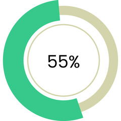Circular Progress Bar Showing Fifty Five Percent With Two Tone Ring Design And Clean White Background