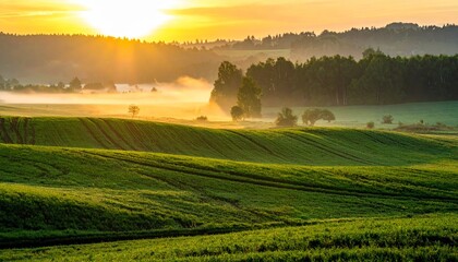 Obraz premium panorama of a beautiful, ecological farmland at sunrise. Waved, green field, forest and morning fog