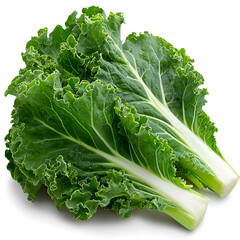 Harvesting fresh kale vibrant green vegetables organic farm food photography outdoor setting close-up shot