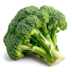 Broccoli harvesting techniques organic farm educational content greenhouse close-up view sustainable agriculture practices