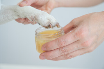 The owner puts wax on the dog's paws. 