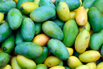 Mangoes for sale at a local market. Luang Prabang. Laos.