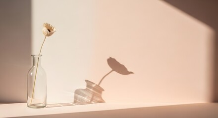 Floral Still Life A Simple Flower in a Vase with Shadows