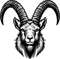 Alpine Ibex Head Vector Illustration – Mountain Goat Horns Silhouette