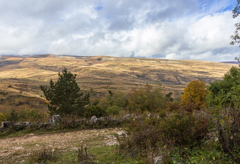 Automne sur un plateau de montagne, matin d'un nouveau jour ciel dans les nuages et la végétation asséchée