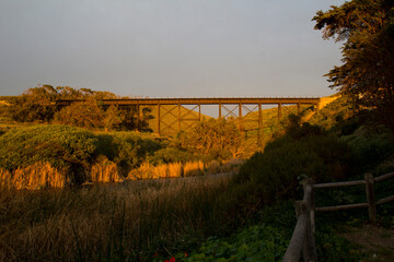 Fototapeta premium Rustic railway bridge, river surrounded by golden vegetation and fence