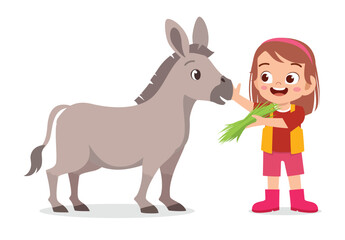 Happy girl feeding a donkey with green grass on white background