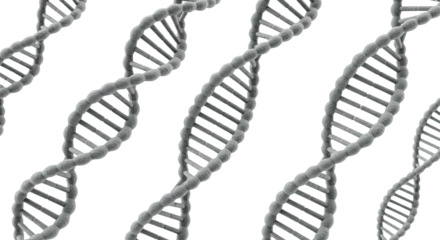 Detailed close-up of multiple DNA double helix models, illustrating genetic structure and molecular biology concepts, perfect for science and education