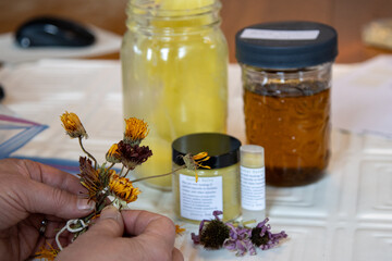 Woman styles dried calendula for herbal salve product shoot
