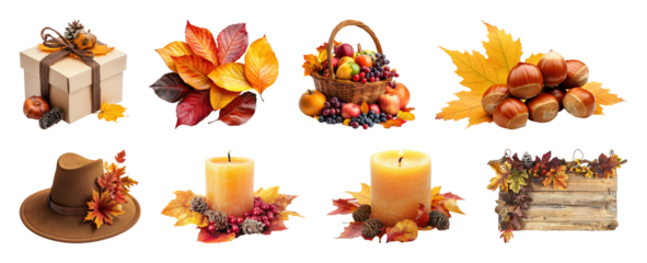 PNG Autumn-themed decorative elements collection, element set on transparent background