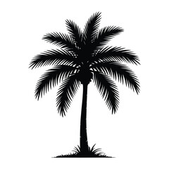 Silhouette of a tropical palm tree on a white background
