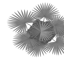 Stylized Monochrome Palm Tree Cluster Top View (Plan View CAD Graphic)