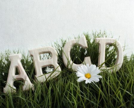 Alphabet letters abcd resting in green grass with a daisy