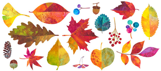 秋の紅葉した、森の自然素材イラストセット。紅葉やどんぐりなどの木の実。カラフルなペインティングテクスチャのイラスト。