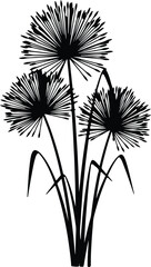 Fototapeta premium Vector Dandelion flowers minimalist botany graphic silhouette Illustrator