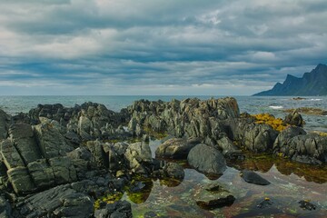 Lofoty- arktyczne lato, surowy klimat za kołem podbiegunowym © Pavlo
