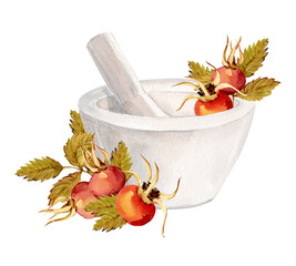 A white ceramic mortar for herbs and spices. Watercolor rosehip branch, berries, and green leaves. Instrument for laboratory, pharmaceutical, and cosmetic production. Clipart for a herbal tea label.