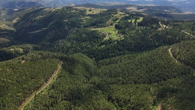 Aerial View of Picturesque Mountain Landscape, Pine Forest and Hills on Sunny Summer Day