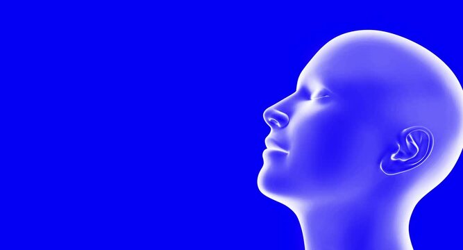 4K 3D Medical Animation of Human Nasal Breathing &mdash; Transparent Head Showing Airflow Through Nose and Sinus