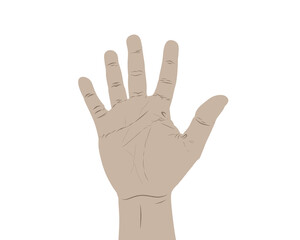 Illustration of a human hand making counting gestures with raised fingers, showing number five in a realistic drawing style on transparent background