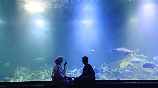 Silhouettes of a couple sitting in front of a giant, dimly-lit aquarium tank, watching large fish swim by. Concept of wonder, marine life, dating, education, and exploration.