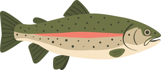송어_생선 일러스트
