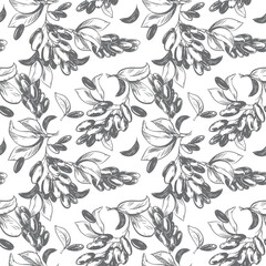 Barberry line art. Seamless pattern. Line art of this sour berry. Vector illustration. Imitation of an old engraving. Background with barberry branches.