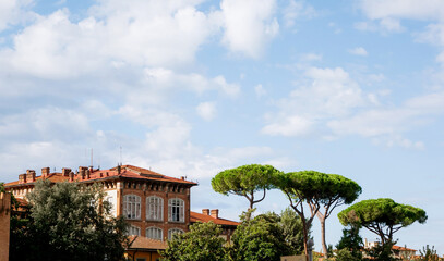 Historic terracotta brick building with arched windows and Mediterranean umbrella pine trees...