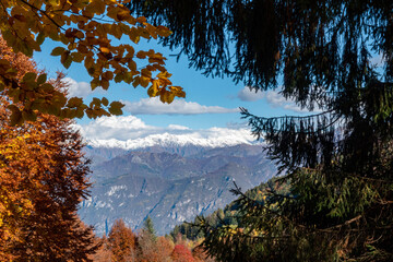 Beautiful orange and red autumn forest and snowy mountains