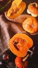 Freshly cut orange pumpkins and gourds on burlap