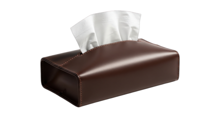 Brown Tissue Box with White Tissues for Everyday Use.