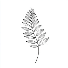 Fototapeta premium Simple linear fern leaf sketch with continuous curved lines, black outline on white background