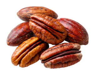 Harvesting pecans delicious nuts from southern farms nature's bounty isolated on transparent background