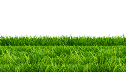 A lush green grass field in nature under a summer sky offers a fresh landscape of growth and environment