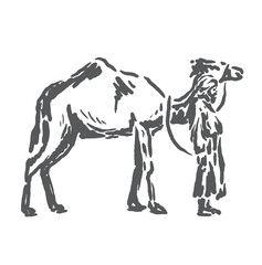 Vector sketch illustration of a camel being led by its owner in the hot desert