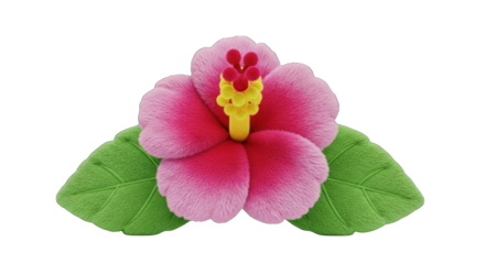 Pink Hibiscus Flower with Green Leaves on White Background.