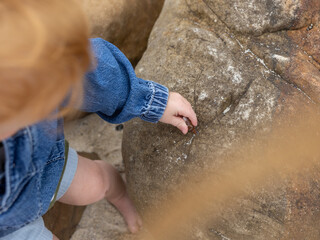 Toddler Baby hands holding shell at the beach