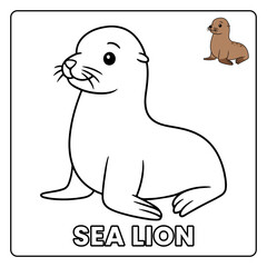 sea lion Cute Sea Animal Children coloring page